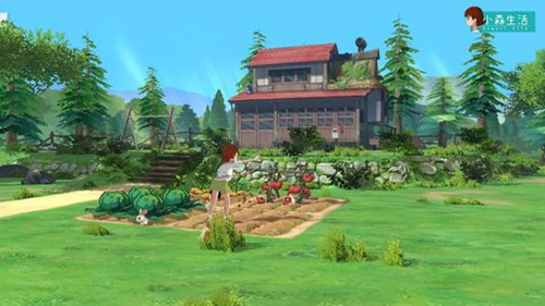 小森生活卖什么比较赚钱_小森生活快速赚钱攻略