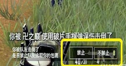 《绝地求生:刺激战场》如何禁止队友舔包