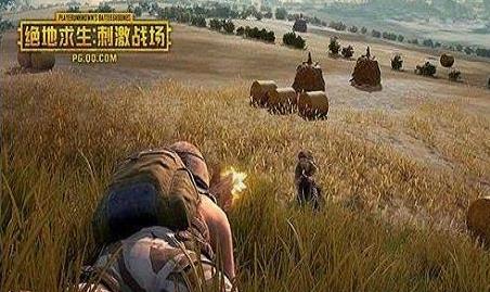 ̼ս425ά_̼ս425ʲôʱ