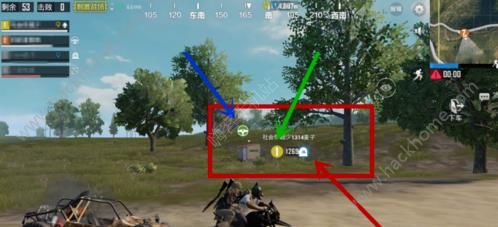 《绝地求生刺激战场》看不到队友名字怎么办