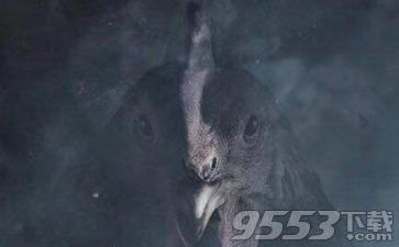 《光荣使命》手游黑屏闪退怎么办?