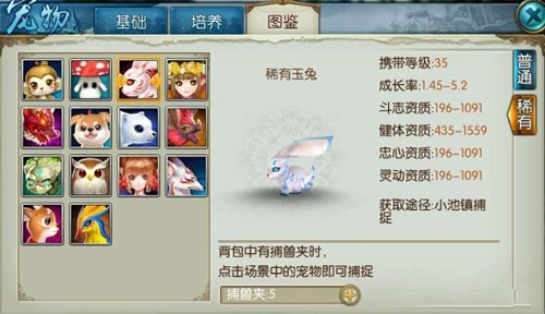 《诛仙》手游稀有宠物刷新时间是多久