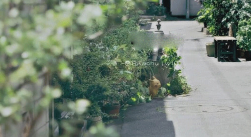 Pokemon Go�涴��Խ�ռ���ʲô��˼