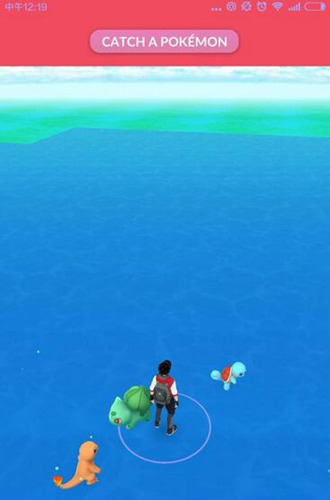 pokemon go中CATCH A POKEMON什么意思