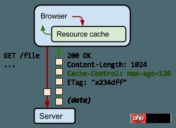 http-cache-control-highlight.png