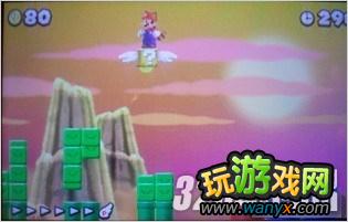 3DS《新超级马里奥兄弟2》全隐藏关卡解除攻略